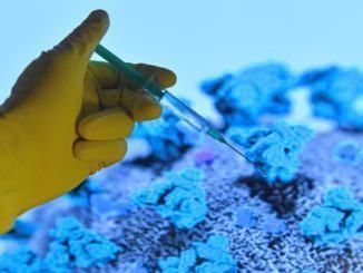 Vaccino anti Covid, da metà gennaio i primi saranno sanitari e ospiti RSA