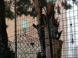 Sparò alla sorella, chiesti 10 anni per l'imprenditore, si torna in aula il 26
