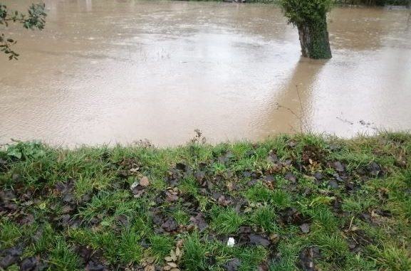 Manutenzioni canali Moiano e Anguillara, entro due settimane inizieranno i lavori