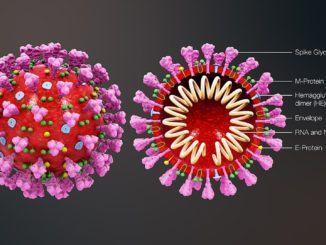 Virologo Clementi, 1-2 anni covid per uscire, agire su titubanti vaccino
