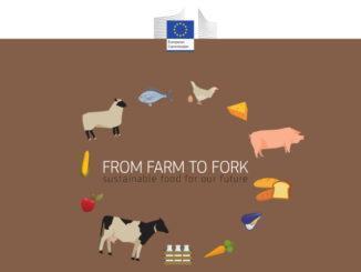 From farm to fork