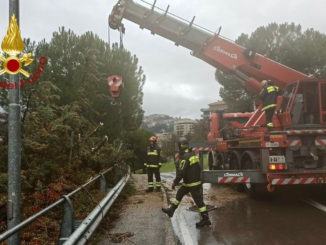 Albero si schianta a Perugia, è il secondo i pochi giorni, nessun ferito