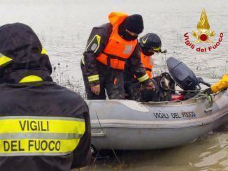 Linus e Lasko finiscono nelle acque del Corbara, Vigili del Fuoco li recuperano