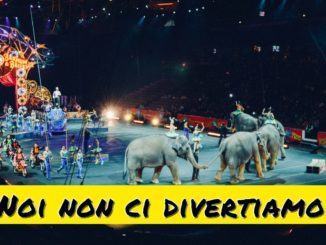Circo sì, ma senza animali, fatto di artisti e non di bestie sfruttate e esposte al ludibrio