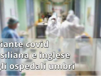 Rezza, in Umbria variante brasiliana in cluster ospedalieri, un po' anche inglese