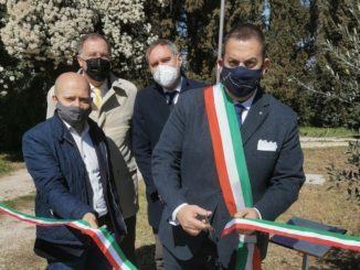 Strada dell’Olio DOP dell’Umbria promuove iniziativa L’ulivo della rinascita