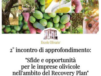 Ercole Olivario 2° incontro di approfondimento