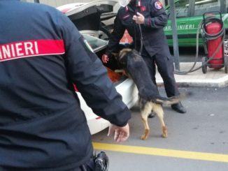 Aveva 2 flaconi di droga dello stupro in auto, Ghb, arrestato spacciatore
