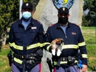 Pèolstrada Todi soccorre autista camion e scopre traffico di cani di razza
