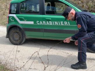 Stendeva filo spinato lungo strade di campagna, 65enne denunciato