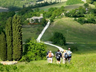 Via di Francesco in Umbria, nuova segnaletica verticale rimozione di quella preesistente