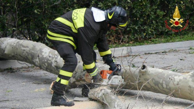 Cade grosso albero a Ponte San Giovanni, strada chiusa per ore