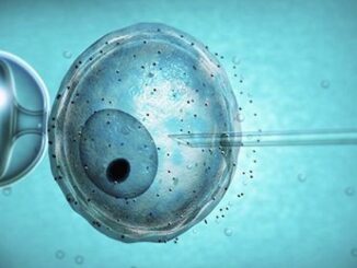 Procreazione medica assistita e test prenatali non invasivi, mozione Meloni Bori 