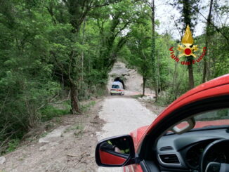 Muore mentre stava potando un albero, ha avuto un malore