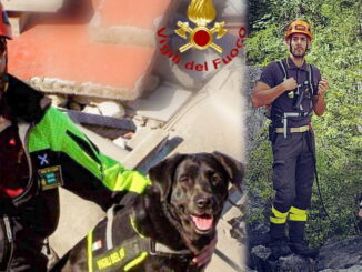 Dana e Kira, vanno in pensione i due cani-pompiere di Terni