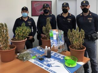 Ternano col pollice verde coltivava marijuana in casa, è nei guai