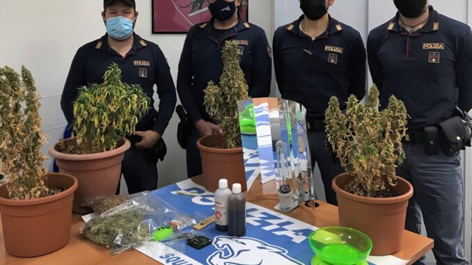 Ternano col pollice verde coltivava marijuana in casa, è nei guai