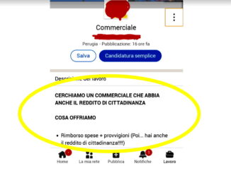 Tutta colpa del Reddito di Cittadinanza, di Matteo Scerra