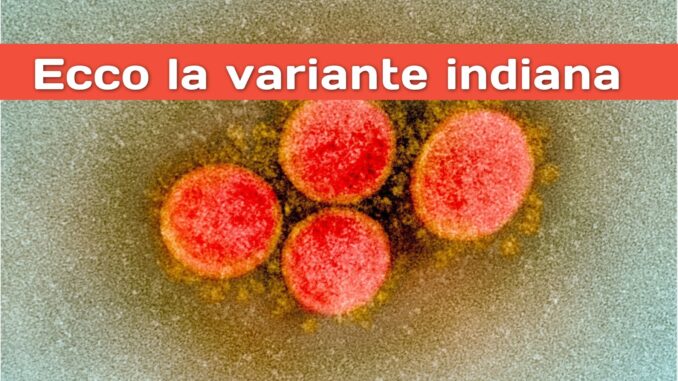 Variante Delta covid mette paura, Pfizer meno efficace anche dopo due dosi