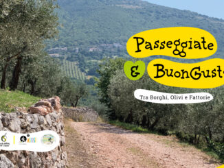 “Passeggiate & buon gusto. Tra borghi, ulivi e fattorie”
