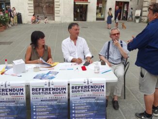 Referendum come clava contro alleanza tra Pd e M5S, dice Bianconi