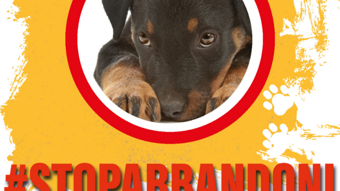 #StopAbbandoni, campagna di sensibilizzazione contro abbandono animali