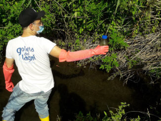 Goletta dei Laghi, tutti entro i limiti di legge le acque del Trasimeno e Piediluco