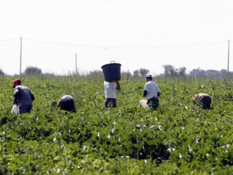 Lotta al caporalato in Umbria: firmato il protocollo regionale 