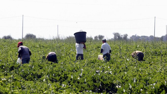 Lotta al caporalato in Umbria: firmato il protocollo regionale 
