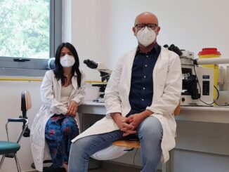 Studio scienziati UniPg su mobilità spermatozoi nella infertilità maschile