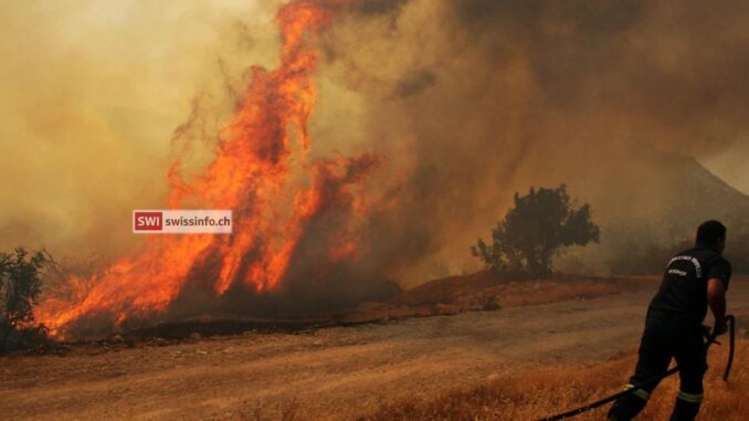 Cipro: 4 morti in maxi incendio, per governo è il 'peggiore della storia'