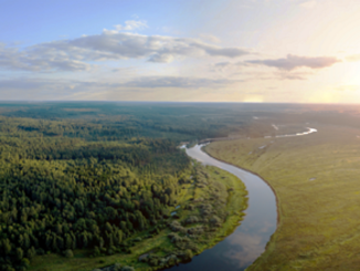 Nestlé entro 2025 principali materie prime saranno a “zero deforestazione”