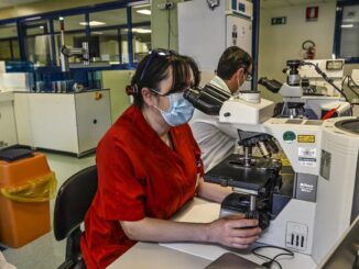 Covid: Guardian, 'governo Johnson si prepara a Piano B'