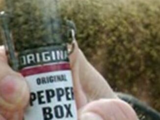Spray urticante in un bar, fuggi fuggi generale, preso lo sconsiderato responsabile