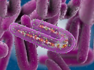 L'uomo è morto, contatti sotto monitoraggio e sanitari in campo