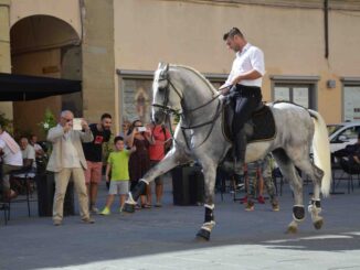 Festa in centro a Città di Castello per la passeggiata a cavallo