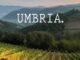 Vinitaly 2023, l’Umbria va in scena dal 2 al 5 aprile con 50 espositori