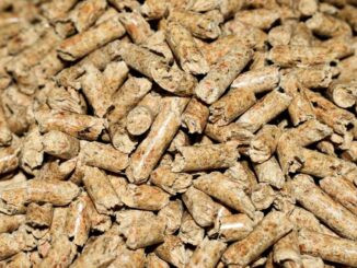 Con l'Operazione Guasta Provvista, la Finanza sequestra pellet non sicuro