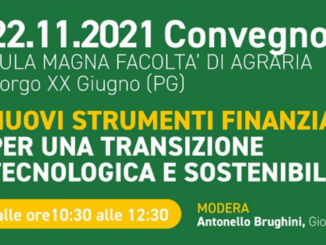 Nuovi strumenti finanziari per transizione tecnologica e sostenibile delle imprese agricole