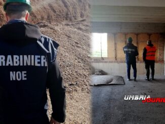 Carabinieri NOE sequestrano cava Casamorcia, era diventato area benessere con piscina