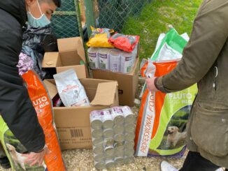 Terni, la Foresta che Avanza Umbria dona al canile rifugio Monte Argento, movimento ecologista identitario ha consegnato materiale raccolto