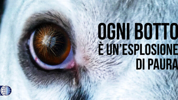 Botti di capodanno, il video-decalogo Oipa per proteggere cani e gatti
