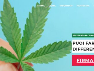 Referendum Cannabis, nel Comune di Perugia 2.164 firme on line, il 27% in più rispetto alla media nazionale