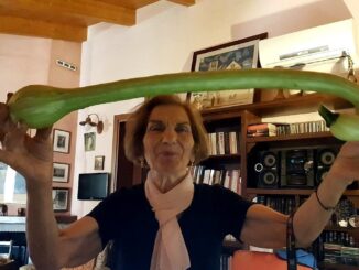 Umbria Journal in lutto, è morta la mamma del Direttore, Marcello Migliosi