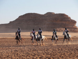 Endurance equestre, l'Umbria protagonista in Arabia , sono perugine le società che organizzano la Fursan Endurance Cup 2022