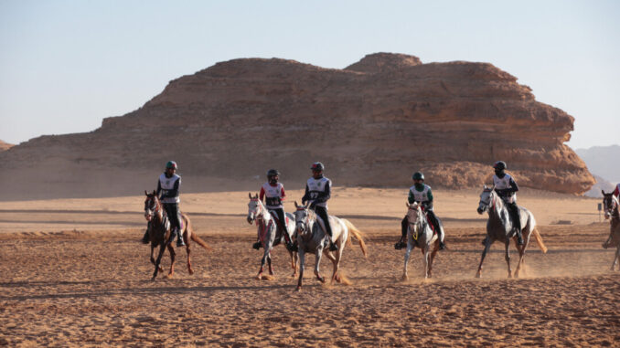 Endurance equestre, l'Umbria protagonista in Arabia , sono perugine le società che organizzano la Fursan Endurance Cup 2022