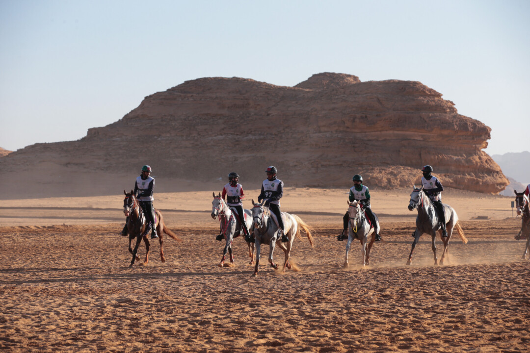Endurance equestre, l'Umbria protagonista in Arabia , sono perugine le società che organizzano la Fursan Endurance Cup 2022