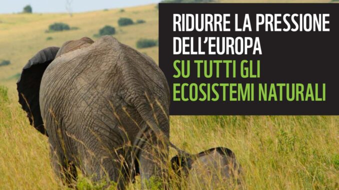 Report WWF, i consumi dell'UE minacciano gli ecosistemi ricchi di biodiversità cruciali per la lotta al cambiamento climatico