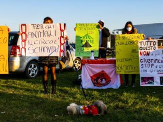 Animal LiberAction protesta a Castiglione del Lago davanti all’ Universal