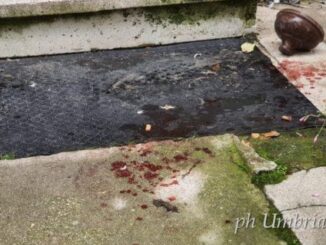 Uccide boscaiolo ad Umbertide, arriva la decisione della Corte d’Assise di Perugia